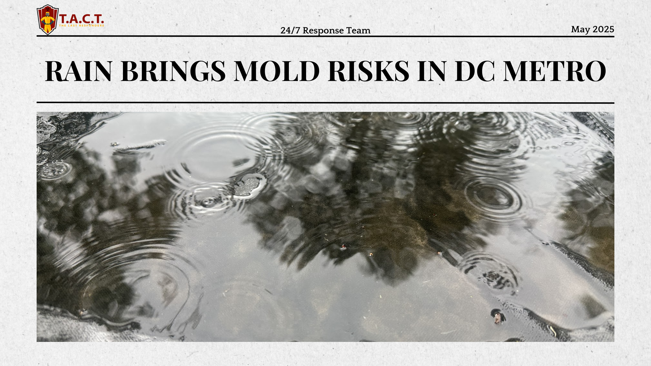 Mold Removal in DC Metro: T.A.C.T. Solves Your Mold Issues