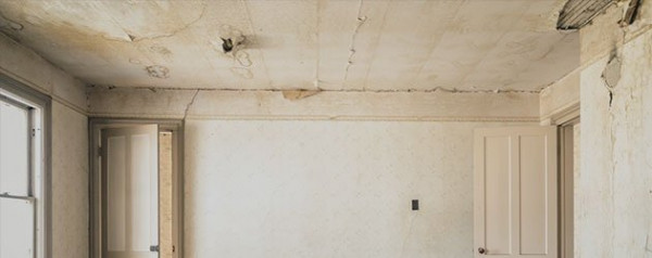 Mold Removal & Remediation in Washington, DC, Arlington & Alexandria, VA and Maryland