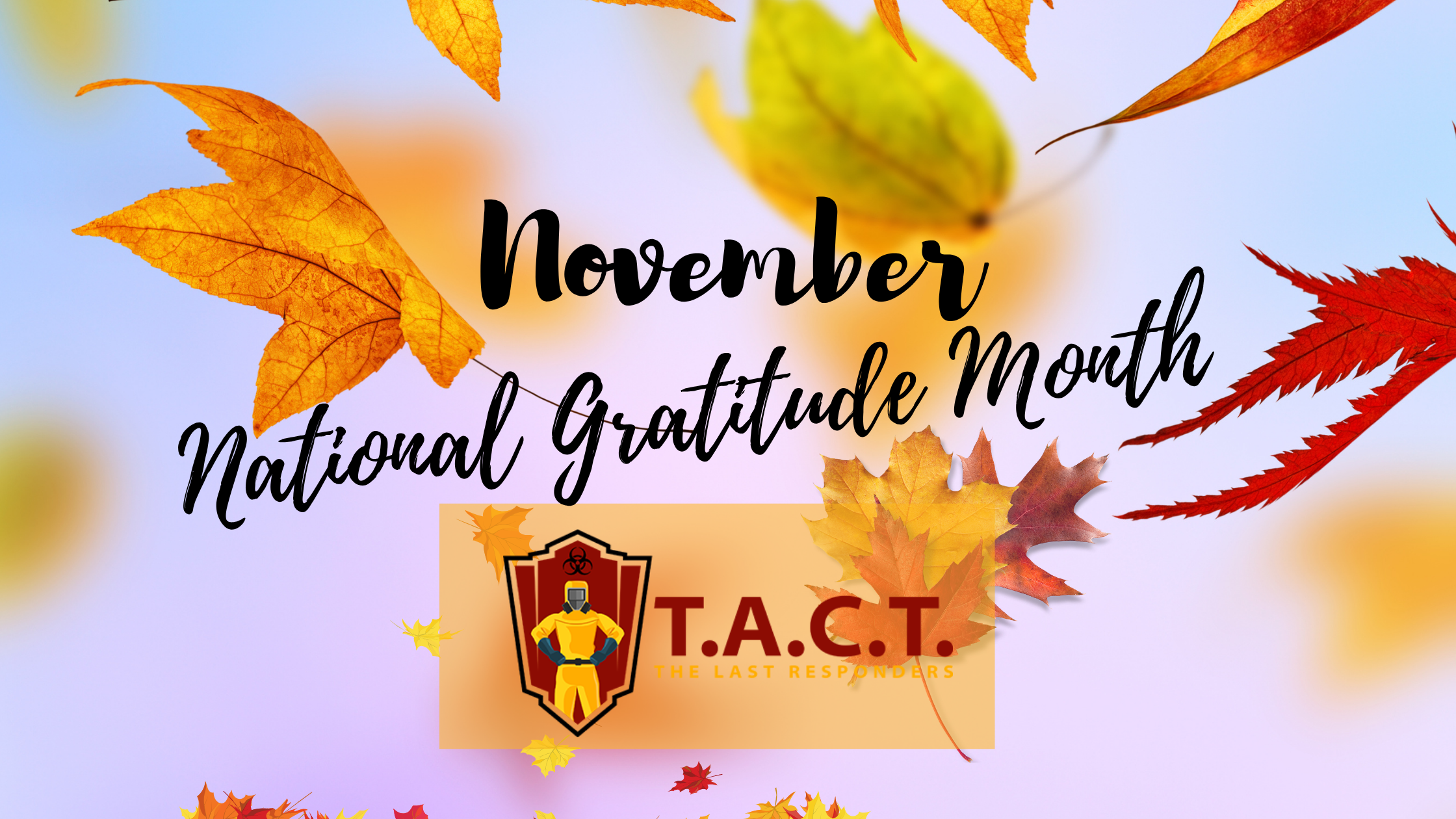November Is National Gratitude Month: A Message from T.A.C.T. DC Metro
