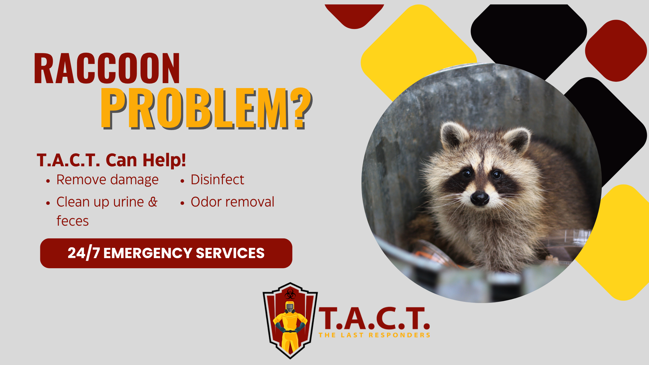 Raccoon Damage in Your Home? Why Biohazard Cleanup Is a Must | T.A.C.T.